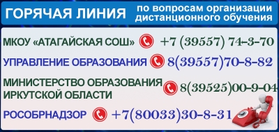 Горячая линия по вопросам дистанционного обучения.