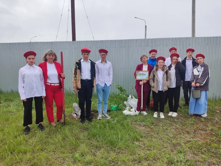 "Аллея Защитникам Отечества".